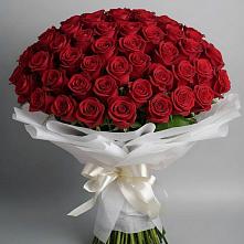 Букет 101 Красная роза Блэк Мэджик в Лукоянове