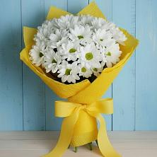 Букет цветов из:  Хризантемы в Лукоянове