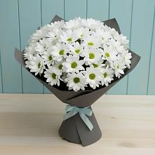 Букет цветов из:  Хризантемы #REPLACE_PRED# Лукоянове