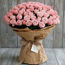 Букет 151 Роза Роуз #REPLACE_PRED# Лукоянове