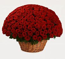 Премиум букет из: Розы в Лукоянове